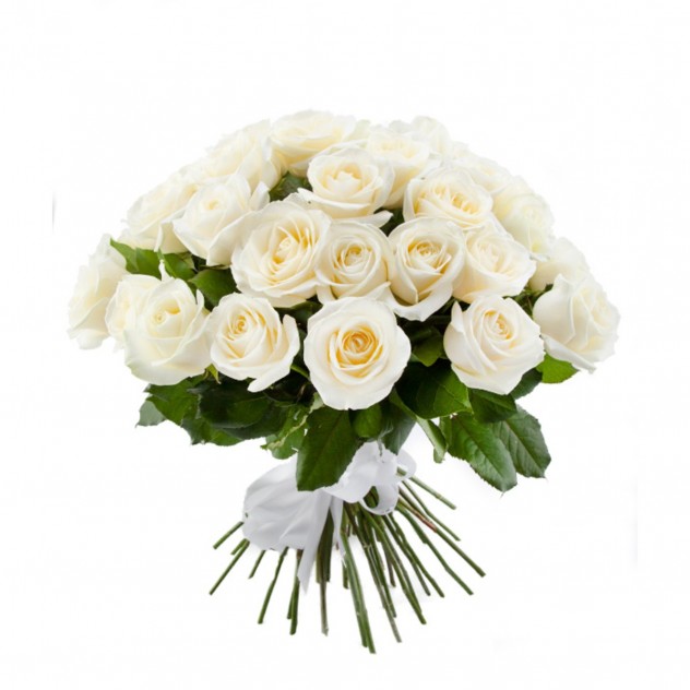 51 white rose 40 cm